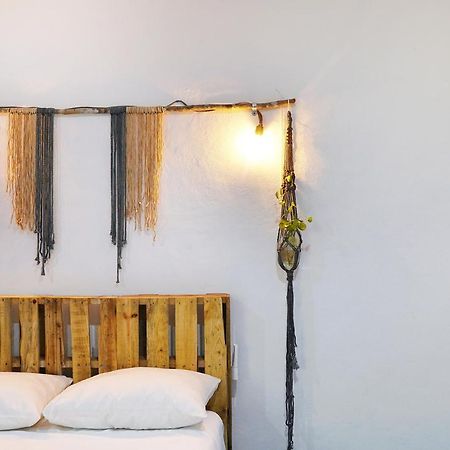 Red Panda Hostal 신데 델 카르멘 외부 사진