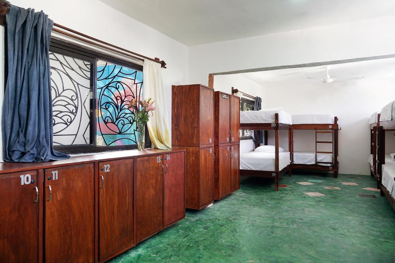 Red Panda Hostal 신데 델 카르멘 외부 사진