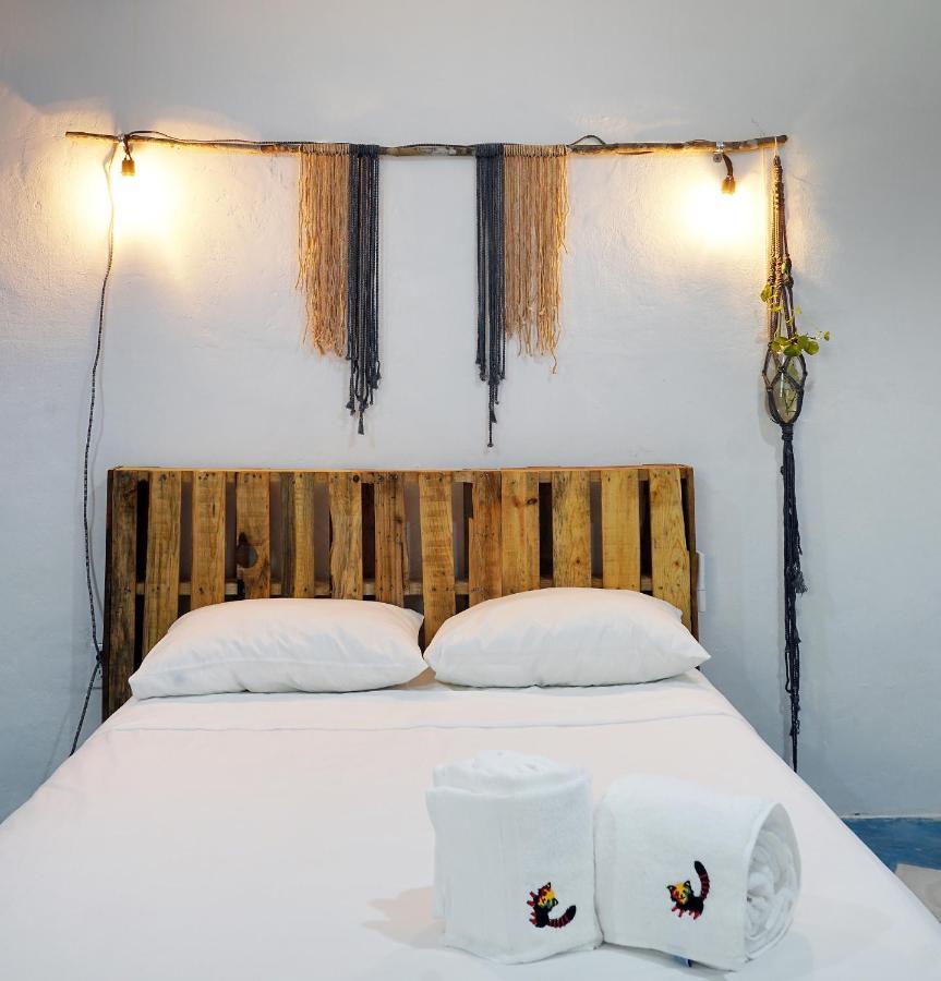 Red Panda Hostal 신데 델 카르멘 외부 사진