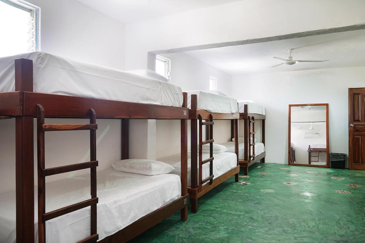 Red Panda Hostal 신데 델 카르멘 외부 사진