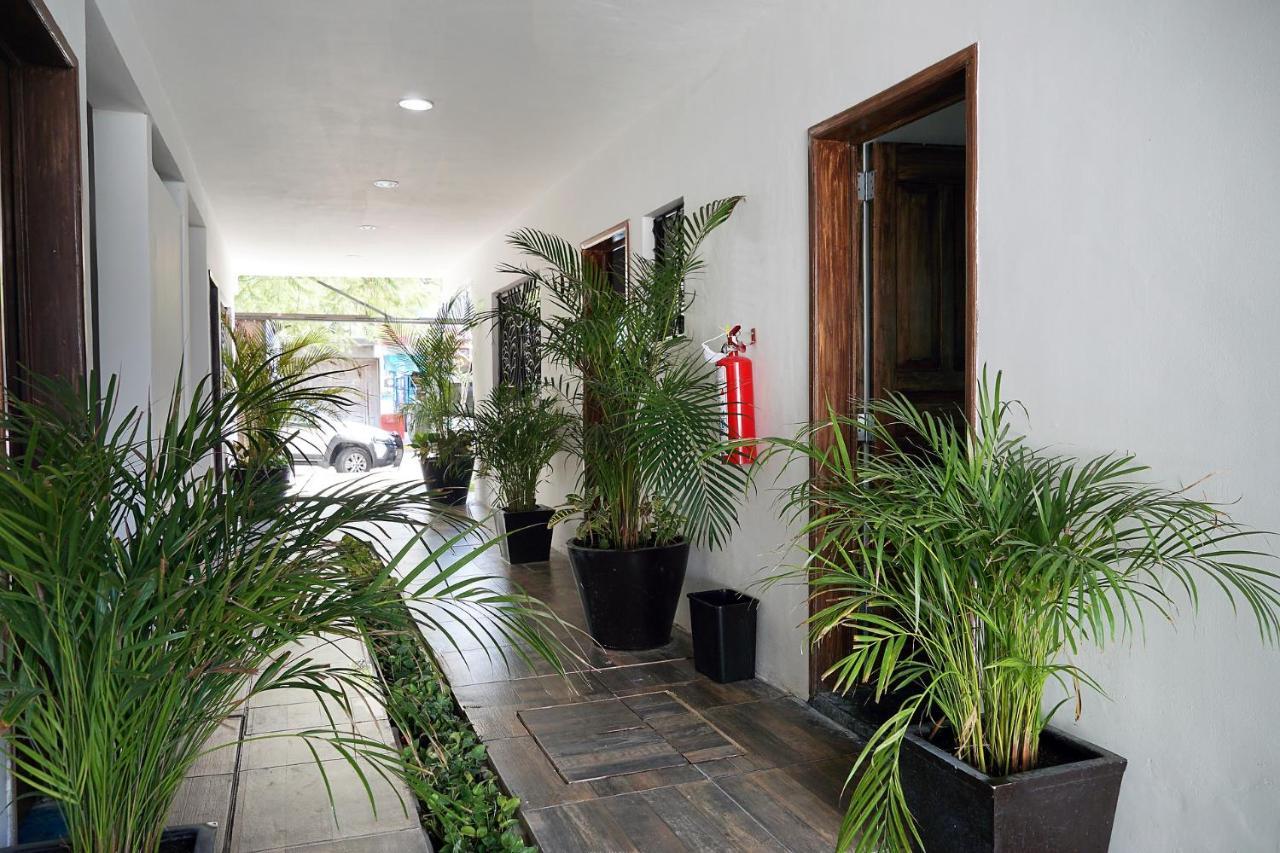 Red Panda Hostal 신데 델 카르멘 외부 사진
