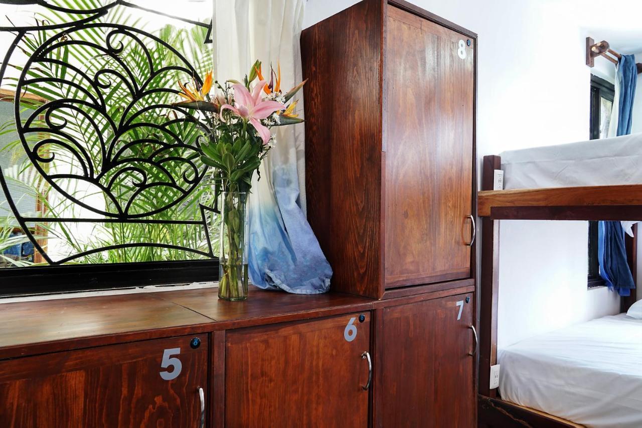 Red Panda Hostal 신데 델 카르멘 외부 사진