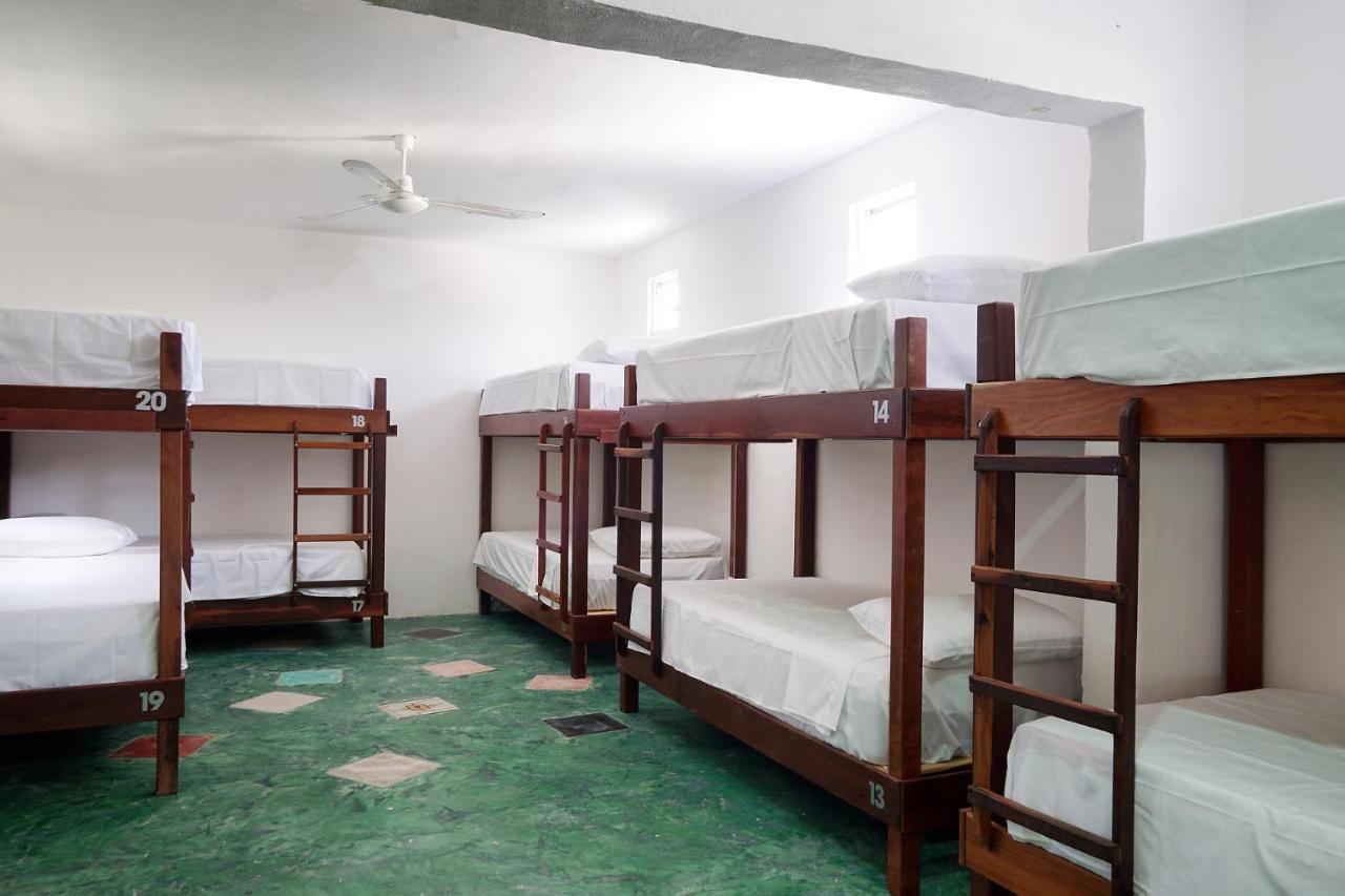 Red Panda Hostal 신데 델 카르멘 외부 사진
