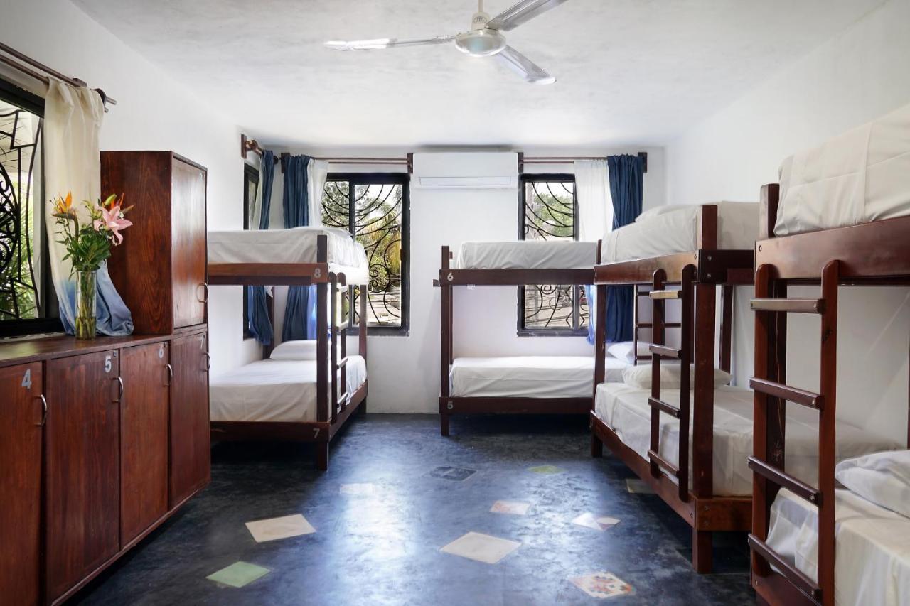 Red Panda Hostal 신데 델 카르멘 외부 사진
