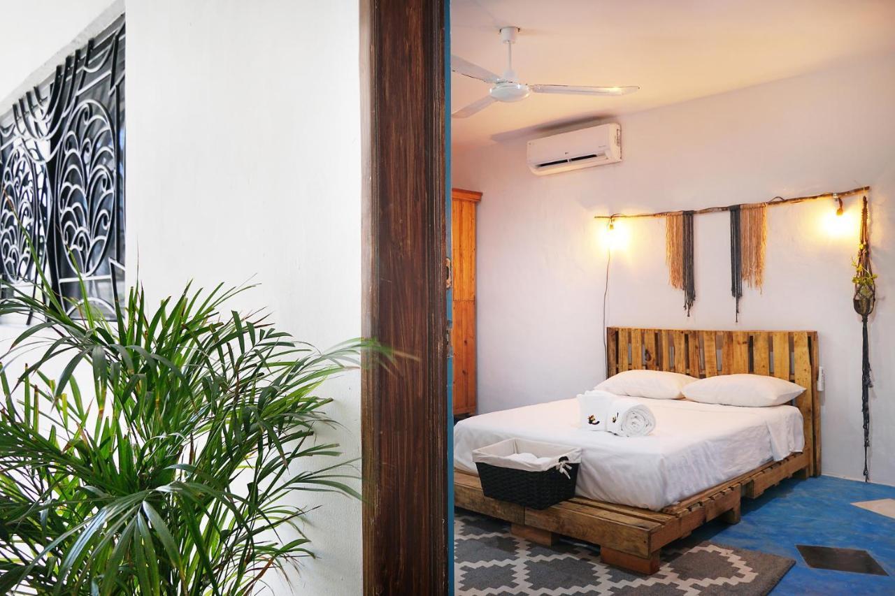 Red Panda Hostal 신데 델 카르멘 외부 사진